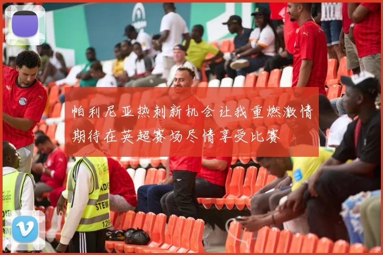 帕利尼亚热刺新机会让我重燃激情期待在英超赛场尽情享受比赛